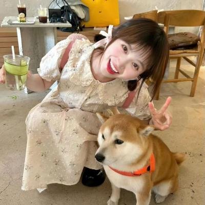 犬之力